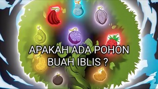 apa ada pohon buah iblis? 🤔