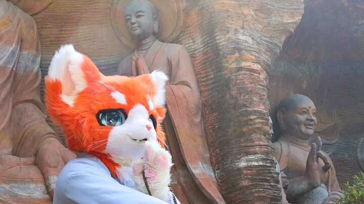 [Furry Dance] "Pray to God" by Ruishou Maorongrong also wants to dance to the traditional Chinese st