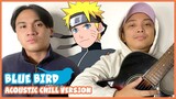 Naruto Shippuden Op 3 "Chill Version" | Blue Bird - Ikimonogakiri | Acoustic Cover by Onii Chan