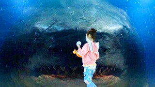 Nothing Is Scarier than A Megalodon when Attacking an Underwater Glass Tunnel