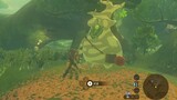 [The Legend of Zelda] What will happen if you collect 900 of them?