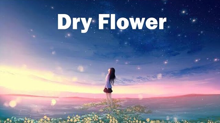 Dry Flower (Indonesia Version) Cover