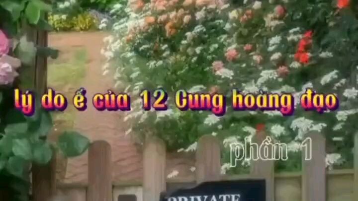 lí do ế của 12 cung hoàng đạo p1