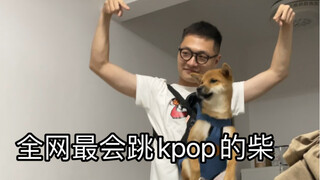 《KPOP 狗》