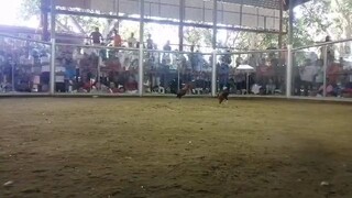 d naka porma! talo na Tayo!