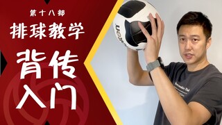 排球教程#18 【背传入门】跟着新哥，学背传！不想得分你都难！