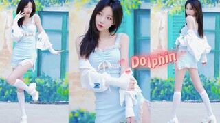 【郑雅文】Dolphin翻跳 Real love钓系❤