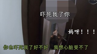 顾客：啊啊啊你吓死我了！外卖小哥：哎呀！你也吓死我了！！