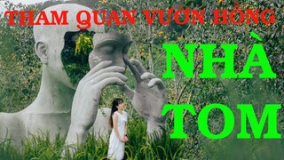 Vườn hồng nhà Tom điểm checkin tuyệt vời mùa hồng chín| Cuộc sống Đà Lạt qua Video Nhân la cà.