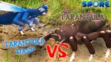 Tarantula Hawk Wasp vs Tarantula | Insect Warzone | SPORE