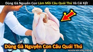 Dùng Gà Nguyên Con Làm Mồi Câu Quái Thú Và Cái Kết Bất Ngờ || Review Giải Trí Đời Sống