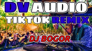 DV AUDIO TIKTOK REMIX | DJ BOGOR REMIX | DVTdv audio remix