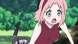 Animasi Corngak Naruto】 Pola di bawah rok Sakura?
