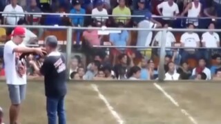 tsamba lng