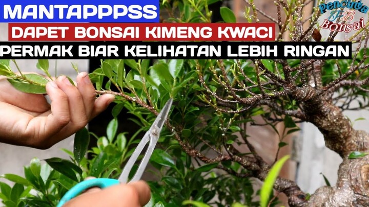 kimeng kwaci