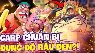 GARP SẮP ĐỤNG ĐỘ RÂU ĐEN?! | SỨC MẠNH ANH HÙNG HẢI QUÂN GARP VS RÂU ĐEN AI MẠNH HƠN