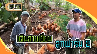 เดินสายเยี่ยมลูกฟาร์ม2 @ฟาร์มไก่ไข่พี่ชล - [สิรินทร์ฟาร์ม] EP.56