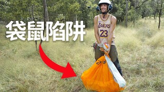 信誓蛋蛋在澳洲求生做陷阱抓猎物吃【第七集】
