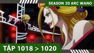 Review One Piece [#SS20] - P26 ARC WANO 💀 Tóm tắt Đảo Hải Tặc Tập 1018,1019,1020