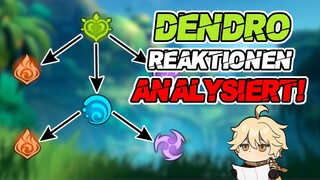 SPRIEßEN und WILDWUCHS! Was machen die Dendro Reaktionen? Sumeru Analyse | Genshin Impact | deutsch