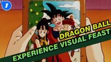 Dragon Ball|【Broly/Epic】Experience a visual feast!_1