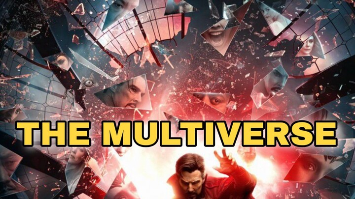 THE MULTIVERSE