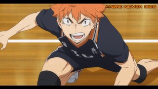 Haikyuu AMV|| Cortesy Call / Hinata Shoyou||