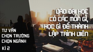 Vào Đại Học có môn gì, học gì để thành lập trình viên