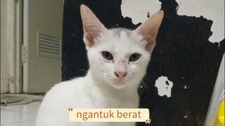 "ngantuk berat"