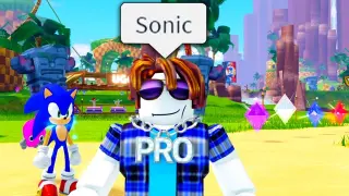 The Roblox Sonic Experience