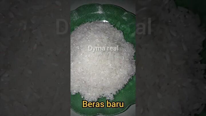 DYMA |ASMR RAW RICE EATING |Makan Beras | asmrrawriceeating| #asmrsounds  #asmr #shorts #mukbang