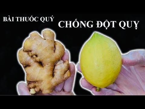 CHANH GỪNG MẬT ONG - Bài thuốc quý LÀM SẠCH PHỔI - HO KHAN - HO ĐỜM - chống ĐỘT QUỴ