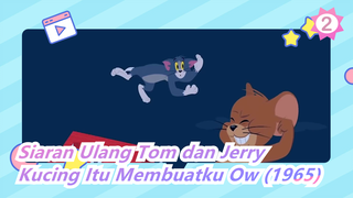 Tom dan Jerry | Apa yang Terjadi Ketika Disiarkan Ulang? Kucing Itu Membuatku Ow (1965)_2