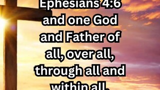 Daily Reflection April 16, 2025