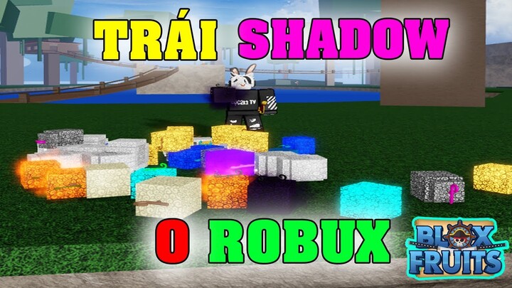 Blox Fruits - Roblox 2024: Khám phá thế giới của Blox Fruits trên Roblox vào năm 2024! Hòa mình vào những cuộc phiêu lưu đầy phấn khích và chiến đấu với những kẻ thù đáng sợ. Tăng cường sức mạnh với các trái ác quỷ và đánh bại các đối thủ khác để đạt tới thành tựu cao nhất!