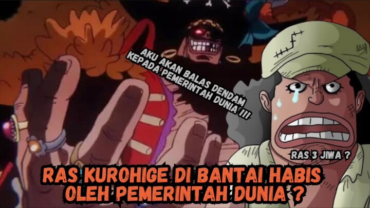 Asal Usul Kurohige Yang Berasal Dari Ras Spesial !!!