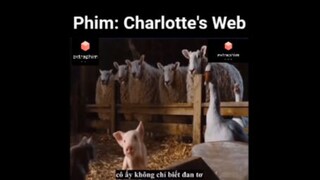 Tóm tắt phim: Charlotte's Web p2