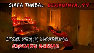 KISAH NYATA..!! PESUGIHAN KANDANG BUBRAH | DI AMBANG KEMATIAN SUPER SEREM