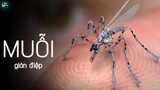 Con Muỗi Mật Vụ Này Có Thể Đến Bất Cứ Đâu... Những Thiết Bị Gián Điệp ĐIÊN RỒ
