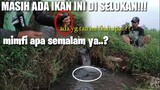 DAPET IKAN TERMAHAL DI DUNIA|ikan apa ini anjay