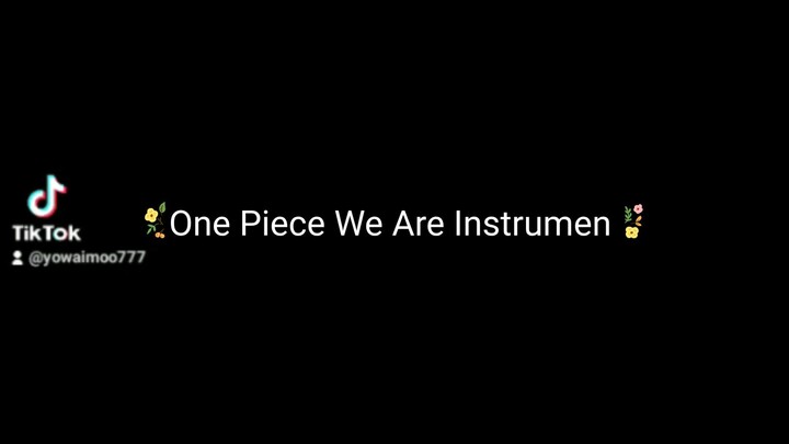 We Are -One Piece