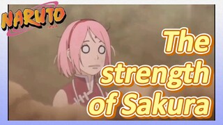 The strength of Sakura