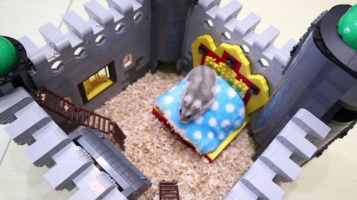 [DIY]สร้างปราสาทให้หนูแฮมสเตอร์ด้วยเลโก้