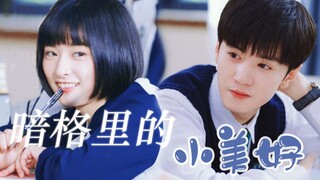 【陈哲远×沈月】周斯越×陈小希|剧情向|暗格里的小美好