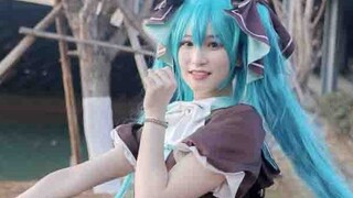 【Love Words Ⅰ · Ⅱ · Ⅲ】 Hatsune 39cos❤️ Tác phẩm kỷ niệm siêu sức sống 【Xiaobai】