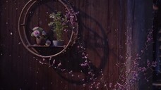 Sắc Màu Pháo Hoa Nhân Gian EP 1 [Sub Việt]