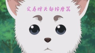 【银魂】定春吃头头合集~