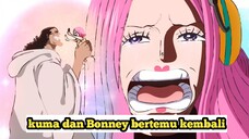 Kuma dan Bonney bertemu kembali