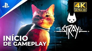 STRAY PS5 - O jogo do Gatinho | Gameplay 4K em Português PT-BR