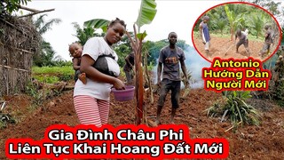 Tập 217: Mở rộng diện tích đất khai hoang trồng Đỗ Xanh Việt Nam||2Q vlogs cuộc sống Châu Phi